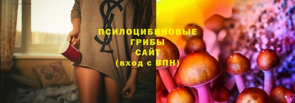 мескалин Надым