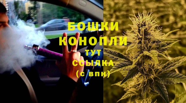 таблы Новозыбков