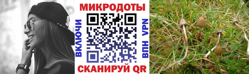 сайты даркнета наркотические препараты  Клин  Псилоцибиновые грибы мухоморы 